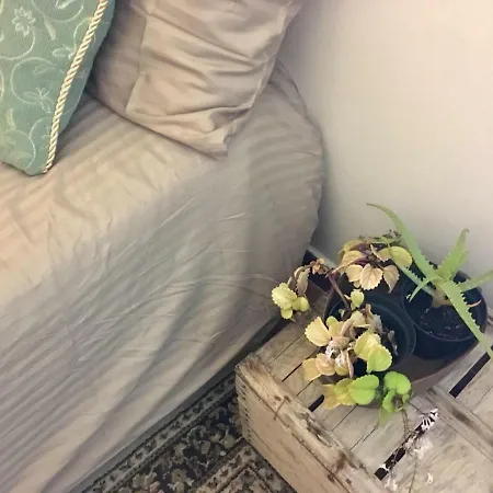 Camera-attico Luminoso Con Terrazza Homestay
